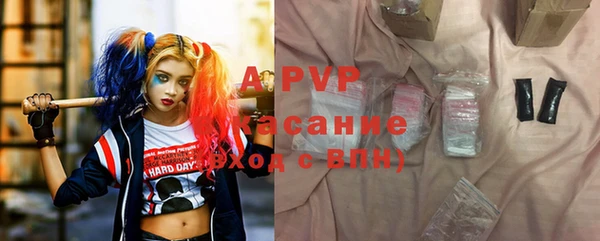 сатива Бронницы