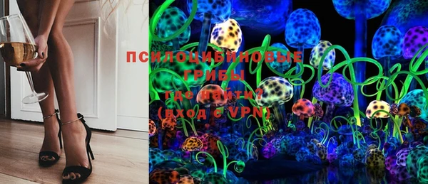 сатива Бронницы