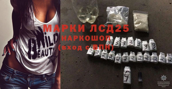 спиды Каменногорск