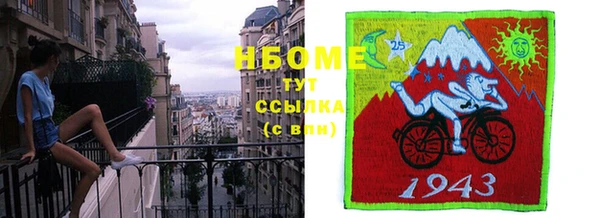 сатива Бронницы