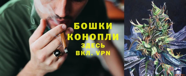 сатива Бронницы